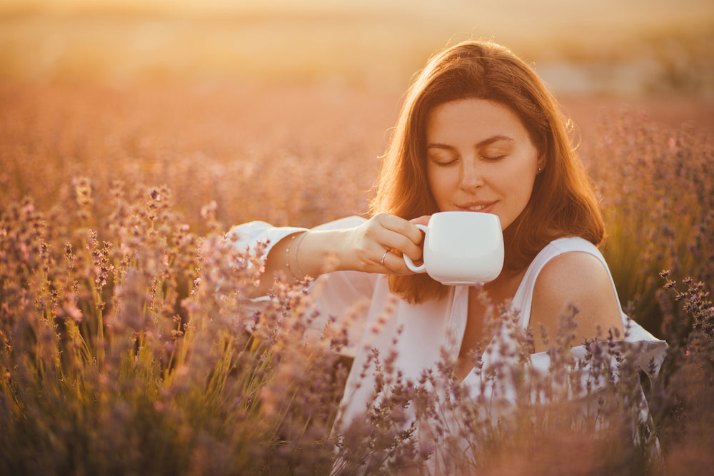 Nipper & Co – Herbal Wellness for Women