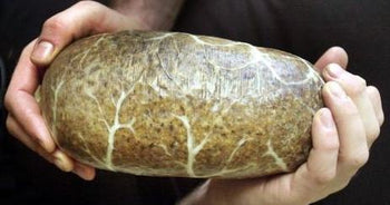 Cameron's Scottish Haggis - Ship weight 1lb