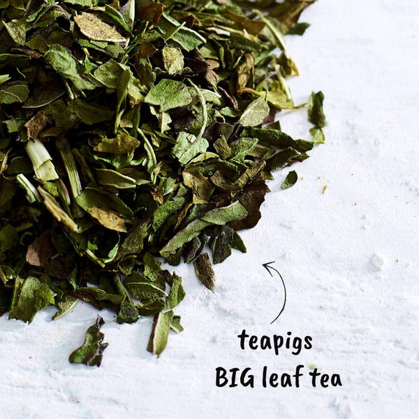 Teapigs Peppermint Leaves Loose Leaf Tea 50g