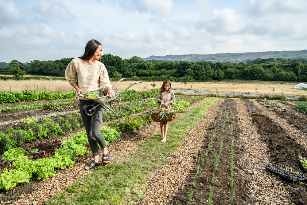Spotlight on British Farmers: Supporting Sustainable Agriculture