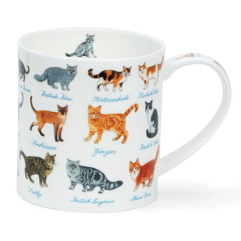 Dunoon Orkney - Cats