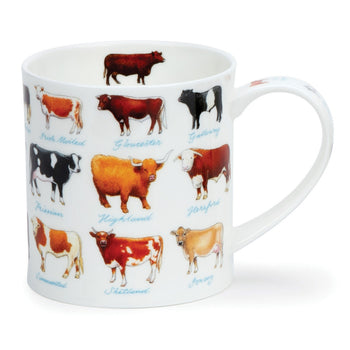 Dunoon Orkney - Cows
