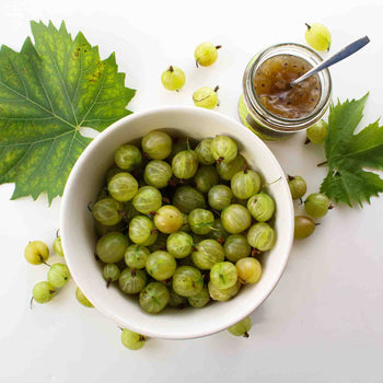England Preserves - GOOSEBERRY & ELDERFLOWER - LOW-SUGAR JAM