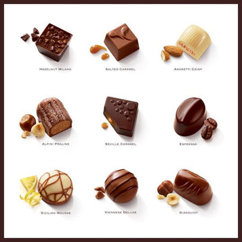 Thorntons Continental Collection Large Chocolate Box 264g
