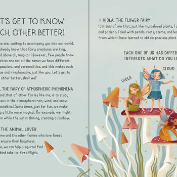 Simon & Schuster - My Little Box of Fairies: Kits; 20 pages / English
