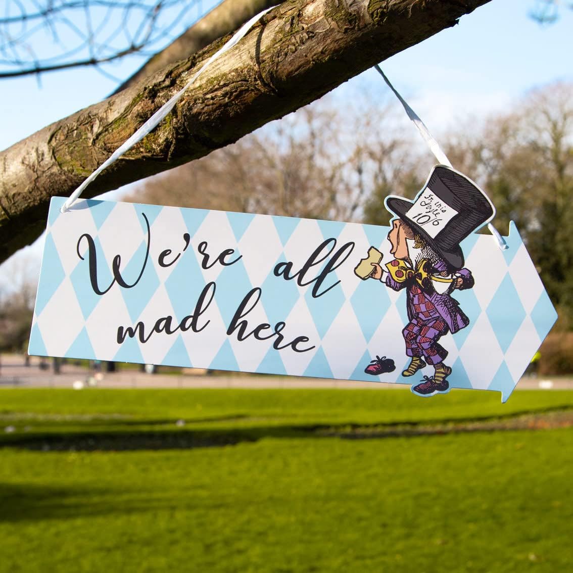 Talking Tables Alice 12 Most Curious Party Signs.
