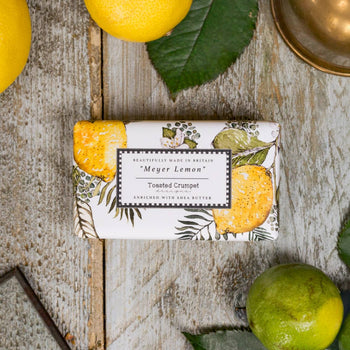 Toasted Crumpet - Meyer Lemon Soap