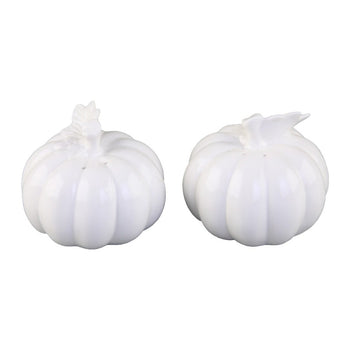 White Pumpkin Salt and Pepper Set