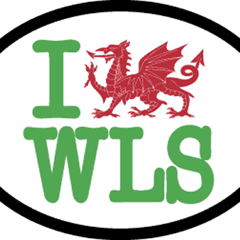 I Love WLS. Oval Reflective Decal