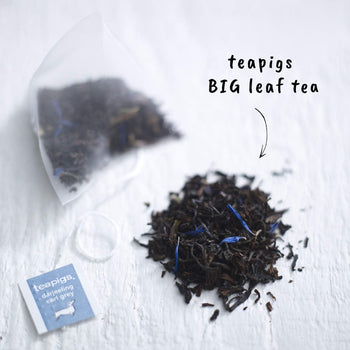 teapigs - Darjeeling Earl Grey 15 Tea Temples