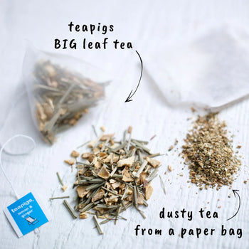 Teapigs Lemon and Ginger 15 Tea Temples