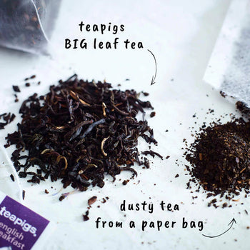 teapigs English Breakfast Tea. 15 Tea Temples