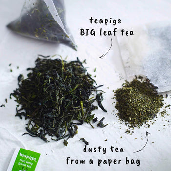 teapigs - Mao Feng Green Tea. 15 Tea Temples.