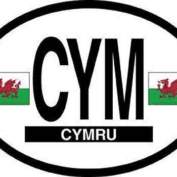 Oval Decal Wales 3.5" x  4.75"